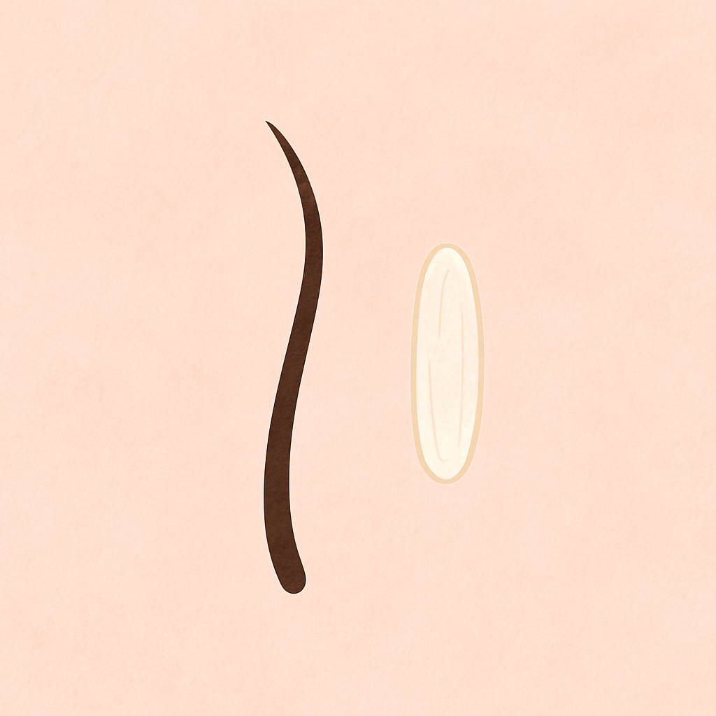 How Long Does Your Hair Need to Be for a Bikini Wax?
