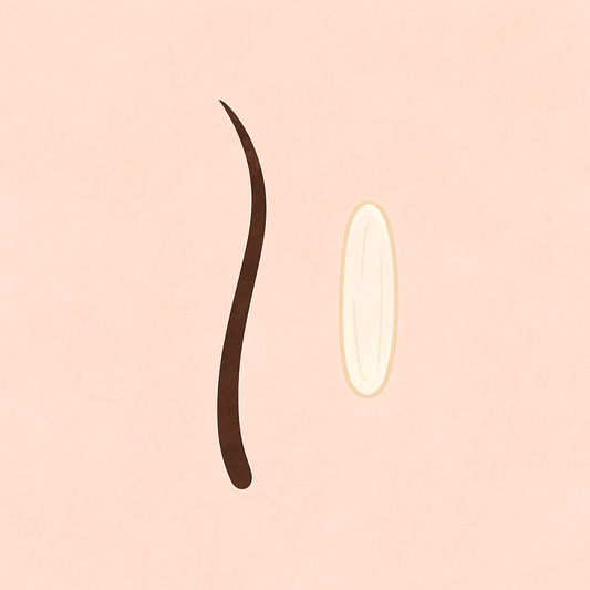 How Long Does Your Hair Need to Be for a Bikini Wax?